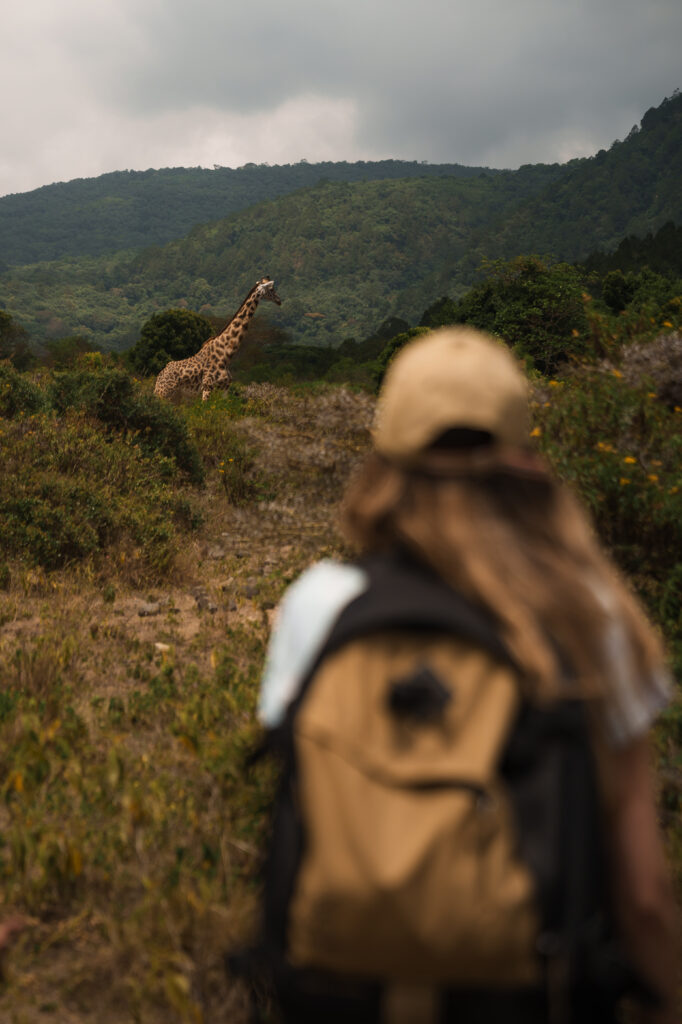 iMfolozi Short Wilderness Hiking Trail