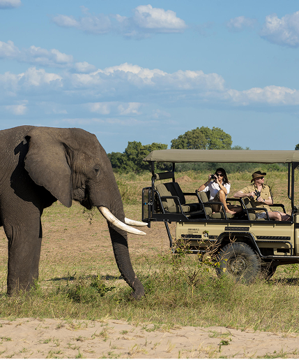 Discover Victoria Falls and Hwange